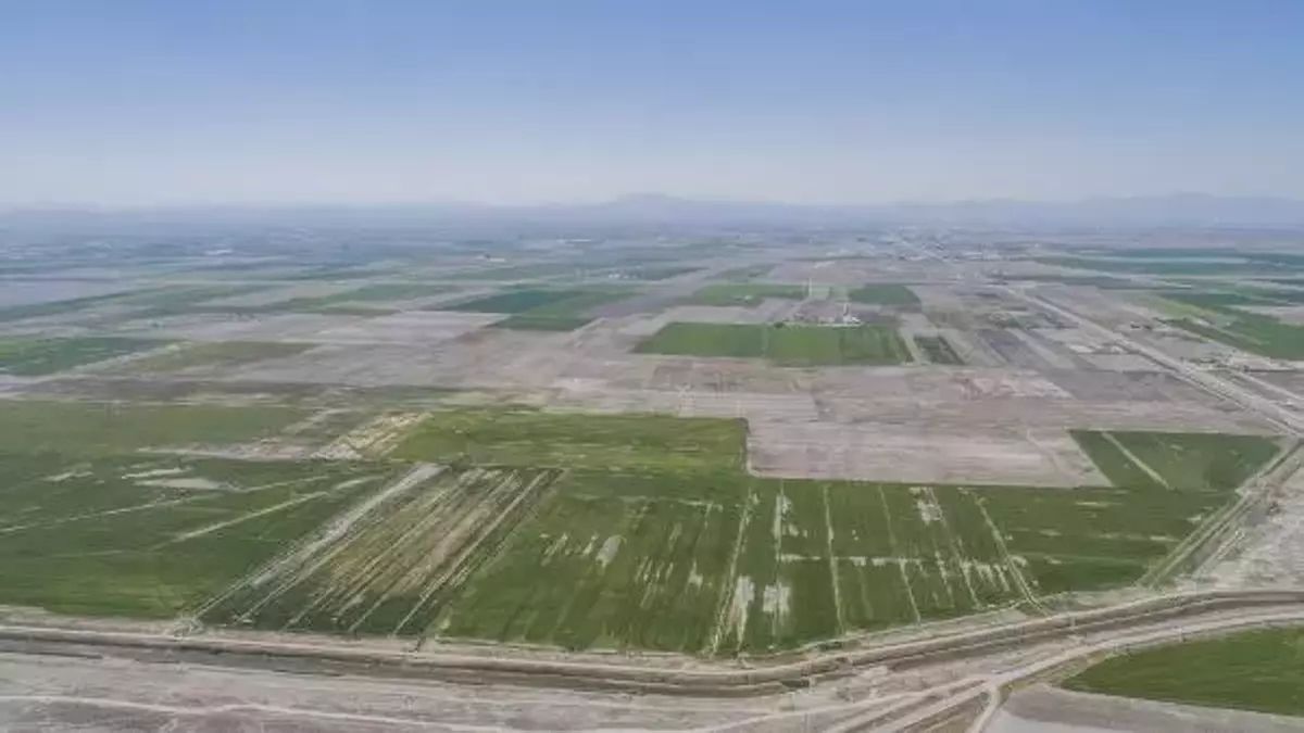Konya'da Çiftçilere "Tarlanızı Kontrol Edin" Uyarısı 