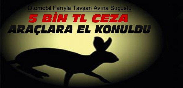 Araç Farıyla Tavşan Avına Ceza