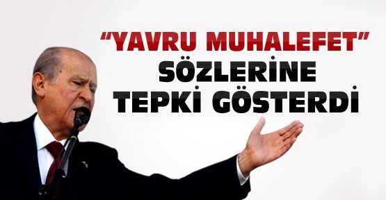 Bahçeli Samsun'da konuştu “Yavru Muhalefet“ sözüne tepki gösterdi