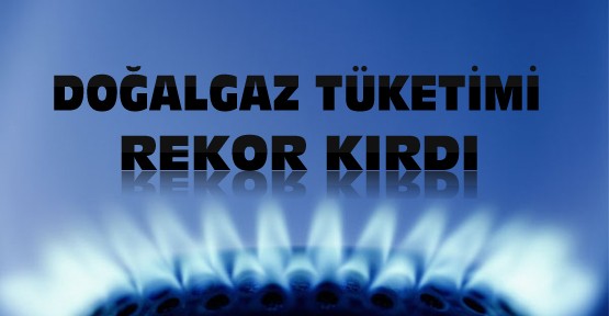 Doğalgaz Tüketimi Rekor Kırdı