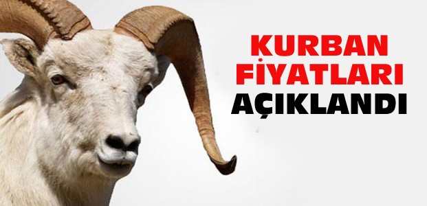 Kurban Fiyatları Açıklandı