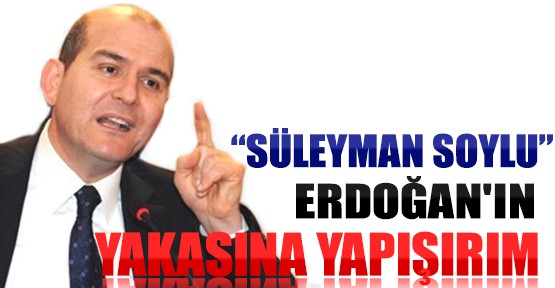 Süleyman Soylu: Erdoğan'ın Yakasına Yapışırım